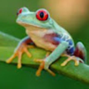 Meet your Posher, Annabelle